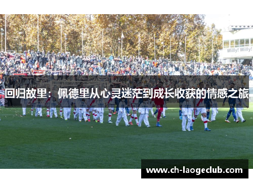 回归故里：佩德里从心灵迷茫到成长收获的情感之旅