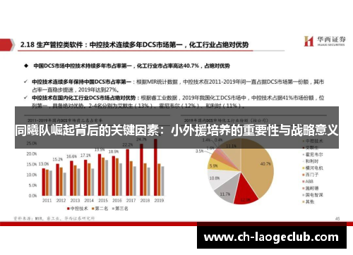 同曦队崛起背后的关键因素:小外援培养的重要性与战略意义 同曦队崛起背后的关键因素:小外援培养的重要性与战略意义