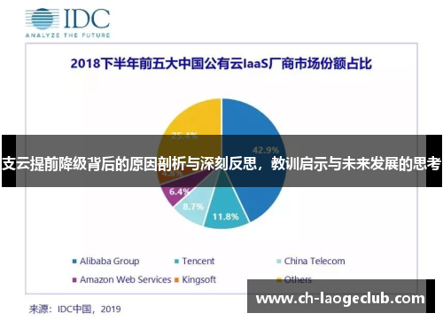 支云提前降级背后的原因剖析与深刻反思，教训启示与未来发展的思考