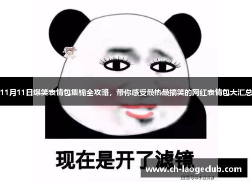 11月11日爆笑表情包集锦全攻略，带你感受最热最搞笑的网红表情包大汇总