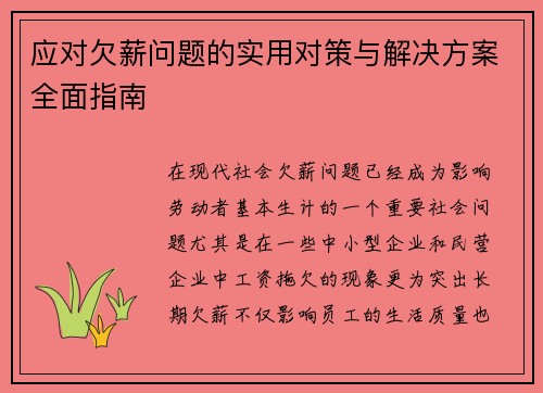 应对欠薪问题的实用对策与解决方案全面指南