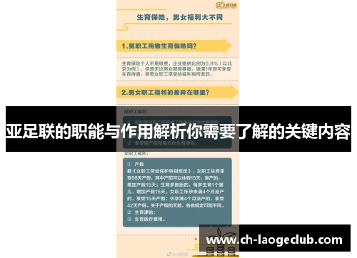 亚足联的职能与作用解析你需要了解的关键内容 亚足联的职能与作用解析你需要了解的关键内容