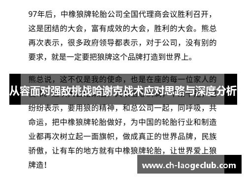 从容面对强敌挑战哈谢克战术应对思路与深度分析