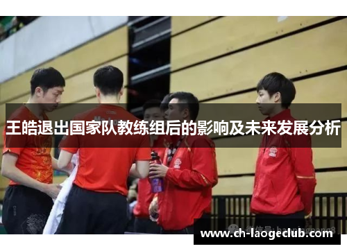 王皓退出国家队教练组后的影响及未来发展分析