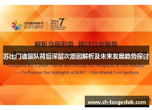 苏比门迪留队背后深层次原因解析及未来发展趋势探讨