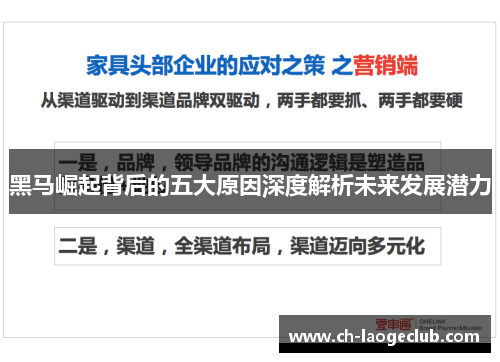 黑马崛起背后的五大原因深度解析未来发展潜力