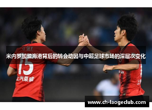 米内罗加盟海港背后的转会动因与中超足球市场的深层次变化