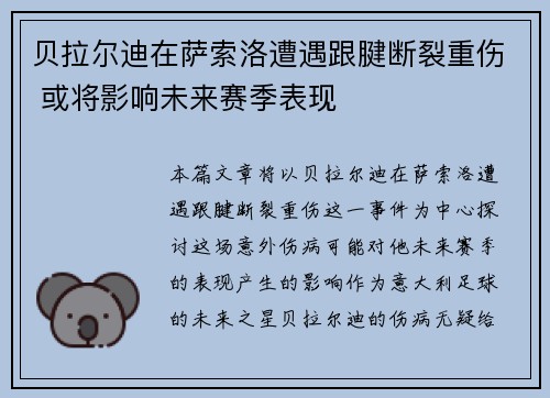 贝拉尔迪在萨索洛遭遇跟腱断裂重伤 或将影响未来赛季表现 贝拉尔迪在萨索洛遭遇跟腱断裂重伤 或将影响未来赛季表现